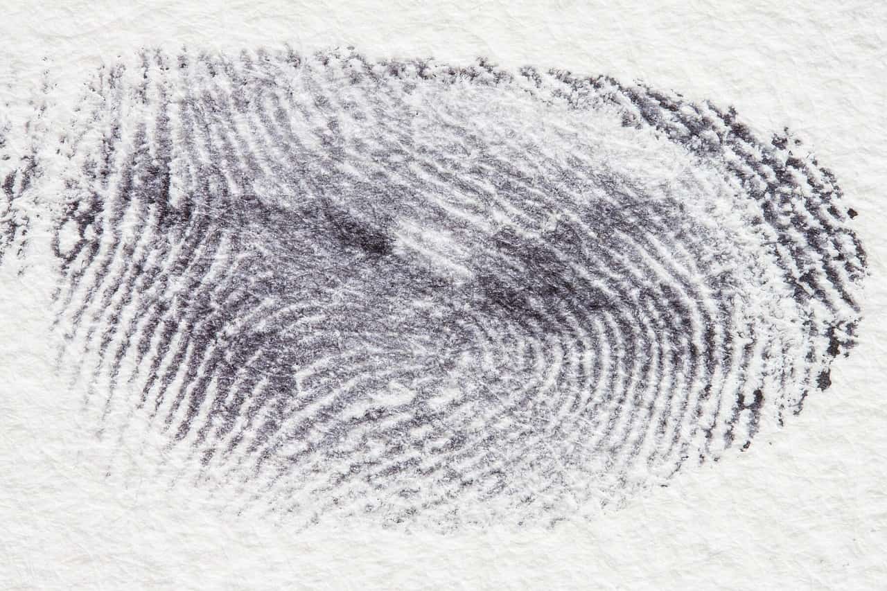 ¿Qué es el derecho penal Guía clara
